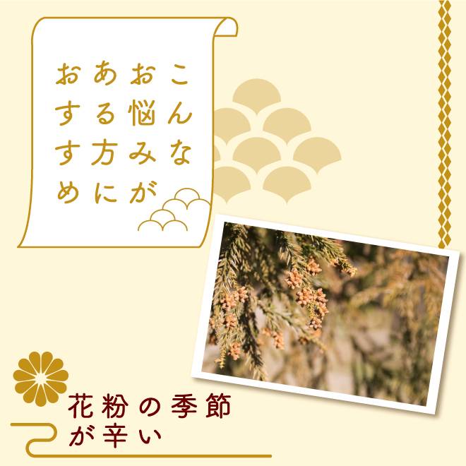 マグカップに入ったお抹茶ラテのとお抹茶ラテのパッケージ