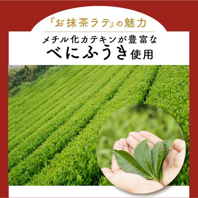 メチル化カテキンの量の比較グラフで多く含まれているのはべにふうき。