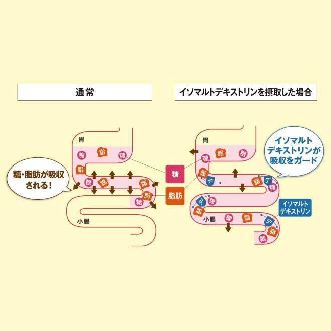 イソマルトデキストリン(食物繊維)が糖・脂肪の吸収を抑えることを示した画像