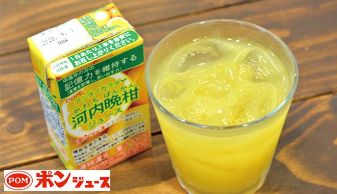 紙パックで手軽に飲める記憶力を維持する河内晩柑ジュース