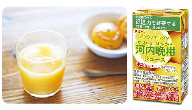 河内晩柑100%ジュースが毎日の健康におすすめ