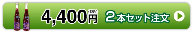 2本セット購入ボタン