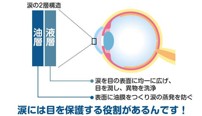 瞳の潤いをキープしてくれている2つの成分について説明されている