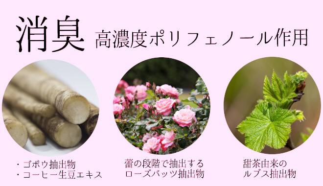 消臭 高濃度ポリフェノール作用