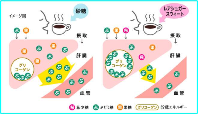 砂糖とレアシュガースウィートでの摂取後の体内の比較