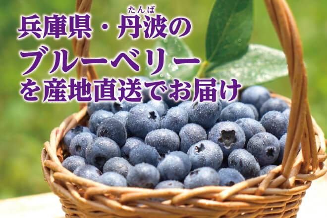 ビルベリードリンクのパッケージ写真と、採れたてビルベリーの写真