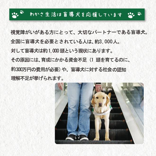 盲導犬にかかる年間費用とわかさ生活の盲導犬支援の画像。