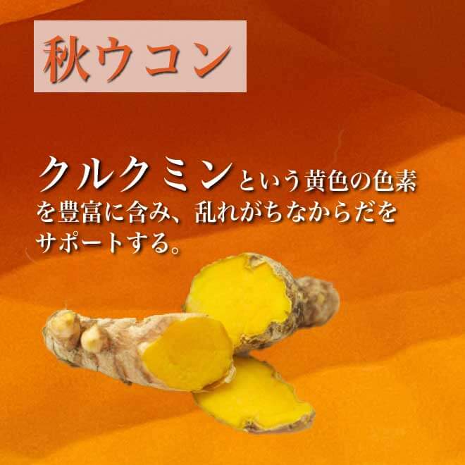 秋ウコンは、黄色の色素クルクミンを豊富に含み、乱れがちな体を整えます。