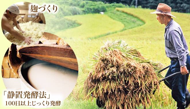 京都・丹後のきれいな棚田で育てられた農薬不使用のお米を100日以上じっくり発酵させる「静置発酵法」を用いて作られた麹
