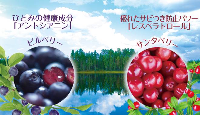 豊かな森と湖の広がる北欧で育った、ひとみの健康成分アントシアニン豊富なビルベリーとサビつき(老化)防止パワーにあるサンタベリー