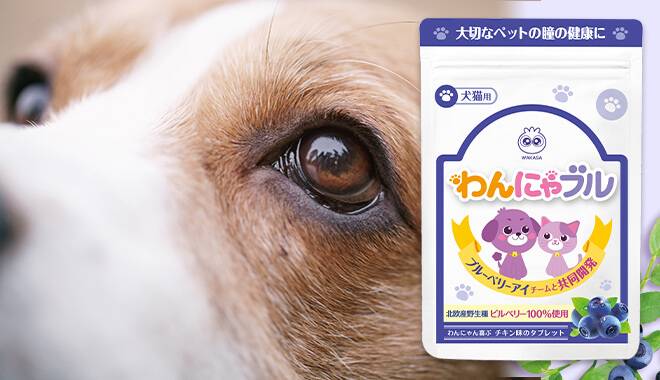 わんちゃんの瞳とわんにゃブルのパッケージ