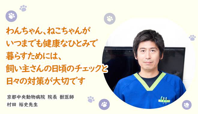 都動物病院 院長 獣医師村田先生の画像