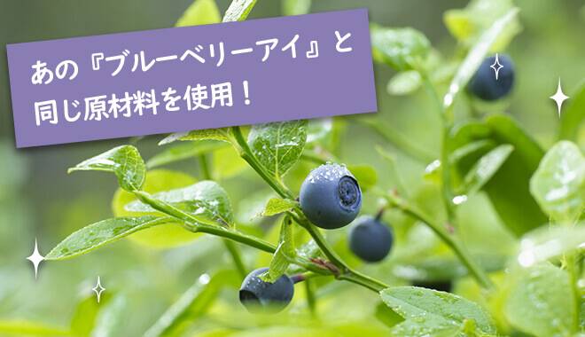 ビルベリーの画像。ブルーベリーアイと同じ原材料を使用しています。