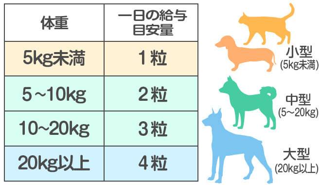 京都動物病院 院長 獣医師村田先生の画像