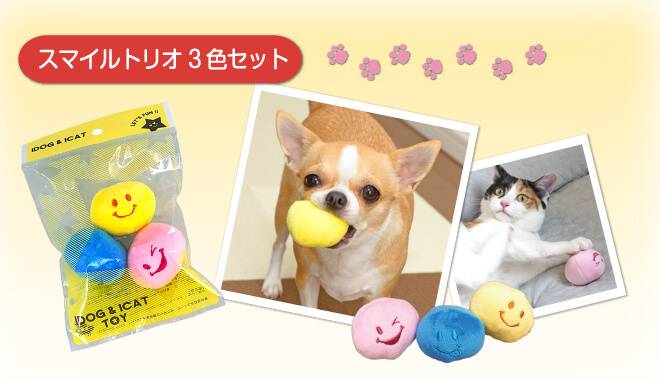 わんちゃんとねこちゃんがスマイルトリオで遊んでいる様子の画像