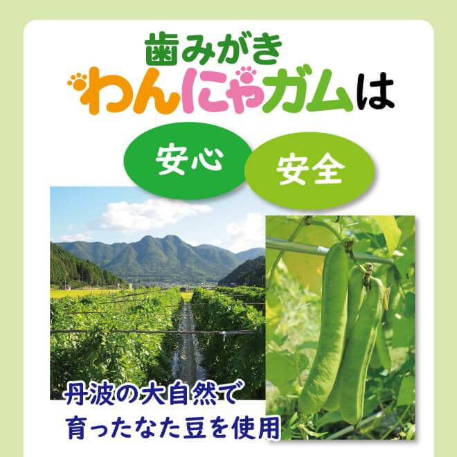 添加物は一切使用していない。安心な国産牛皮のみ使用。牛の繊維が歯の汚れを書き落とす。