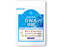 DNA核酸